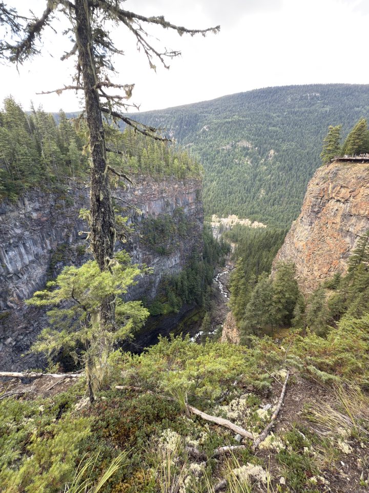 531926852_122225295680133510_5052967901678788311_n 531926852_122225295680133510_5052967901678788311_n