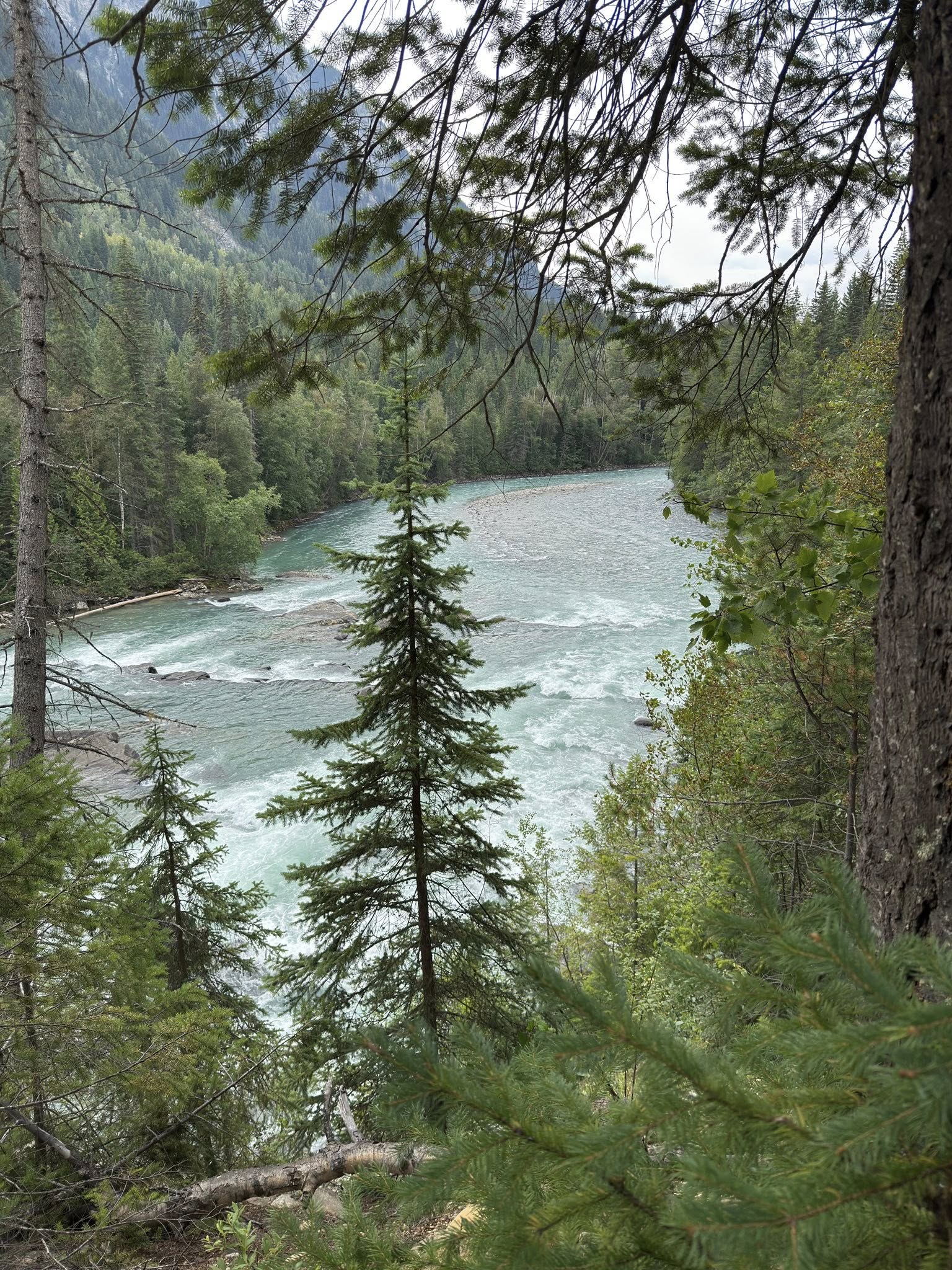 531988206_122225676758133510_2364579808447298104_n 531988206_122225676758133510_2364579808447298104_n