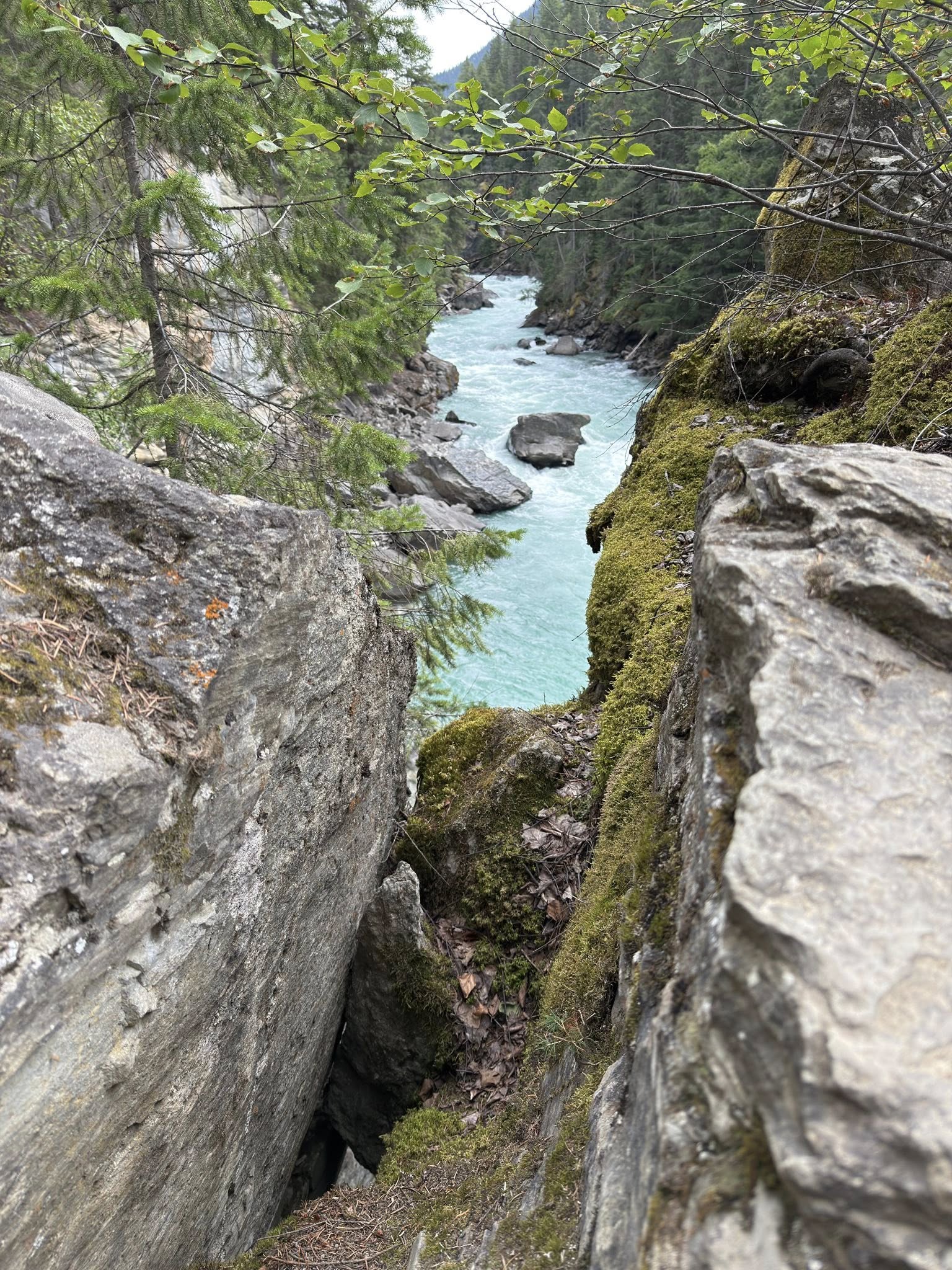 532000614_122225676878133510_3025165833593550463_n 532000614_122225676878133510_3025165833593550463_n