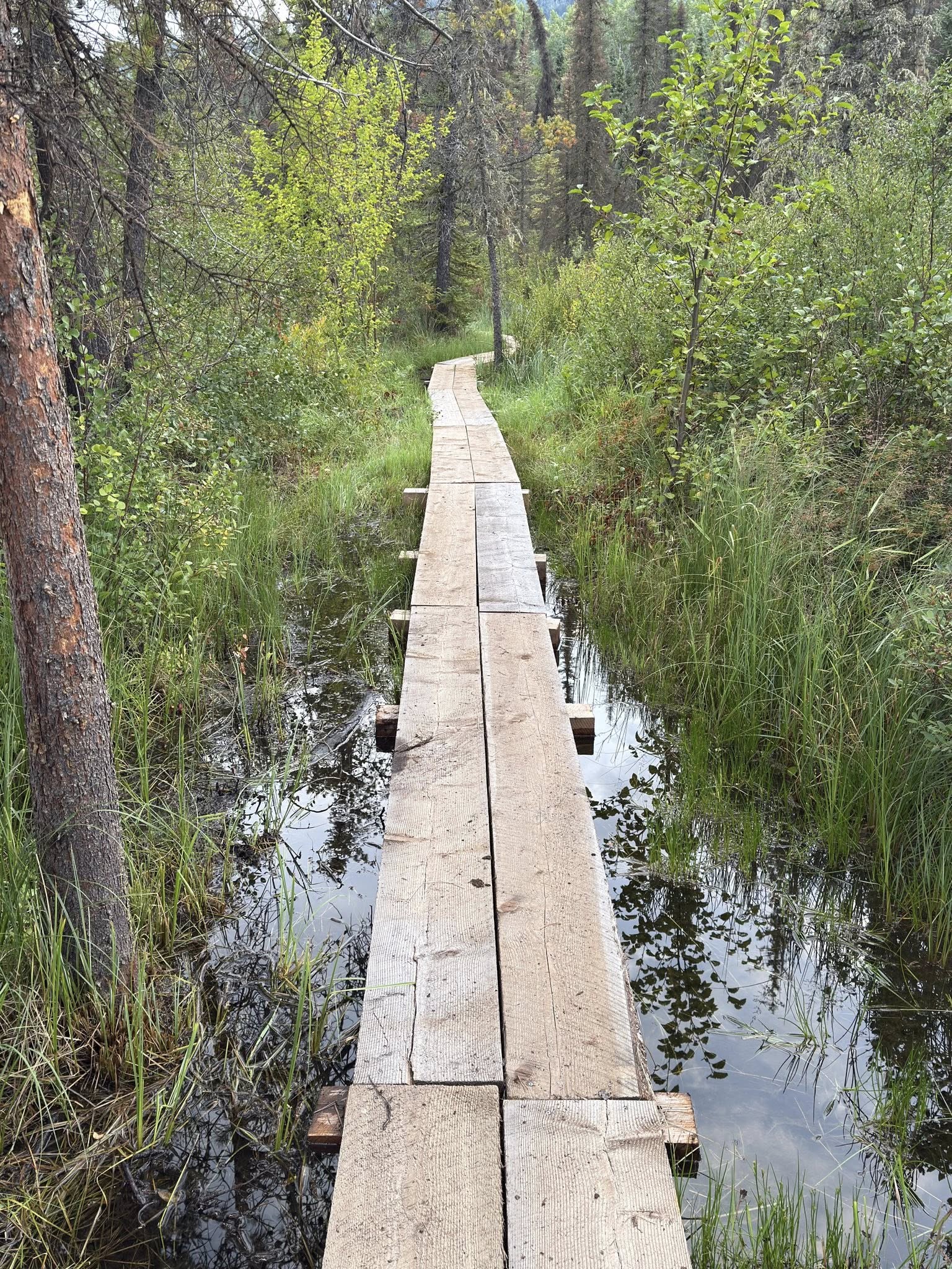 532012772_122225676692133510_5862403906361069949_n 532012772_122225676692133510_5862403906361069949_n