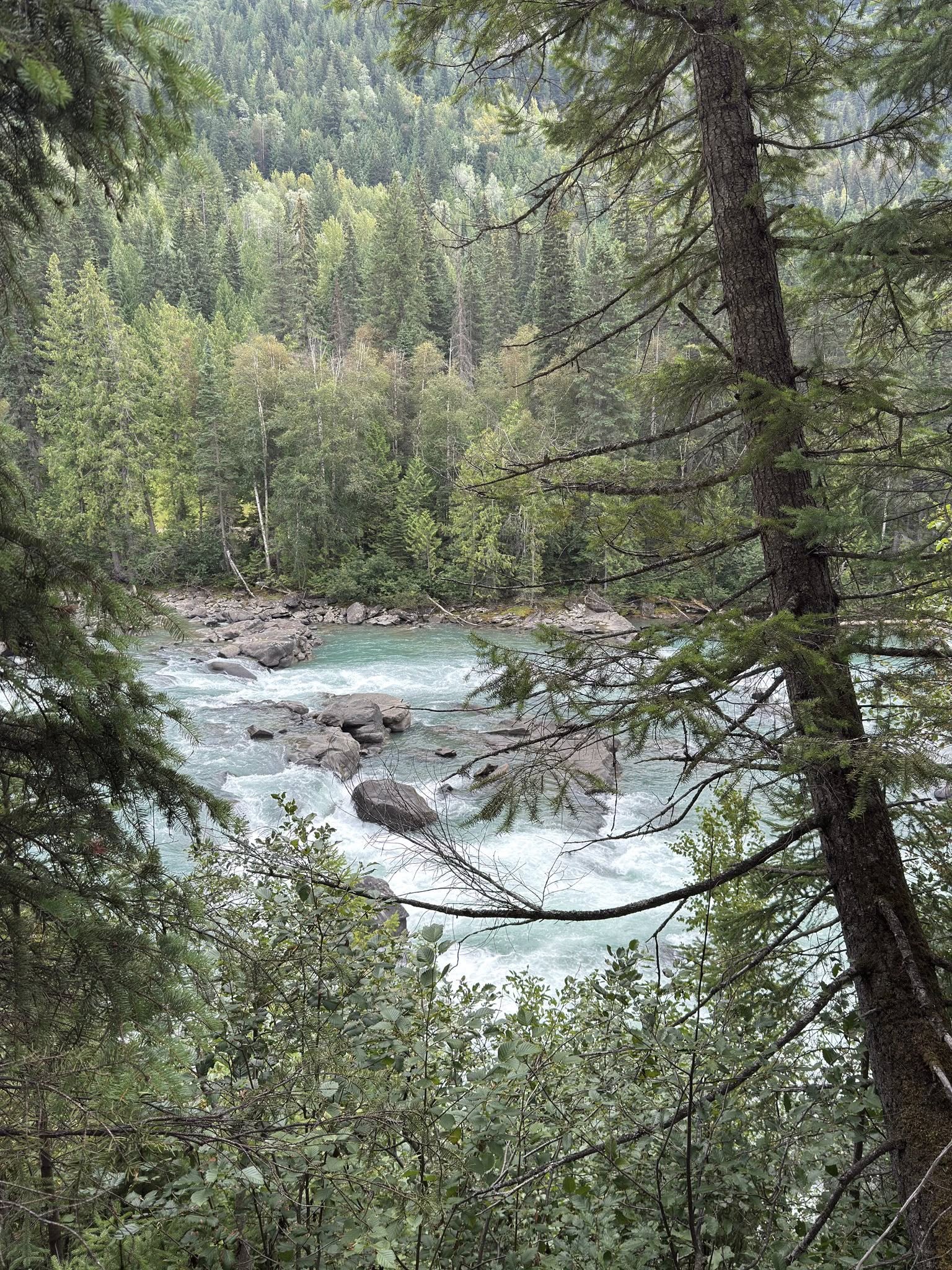 532013764_122225676722133510_8421961588953055780_n 532013764_122225676722133510_8421961588953055780_n