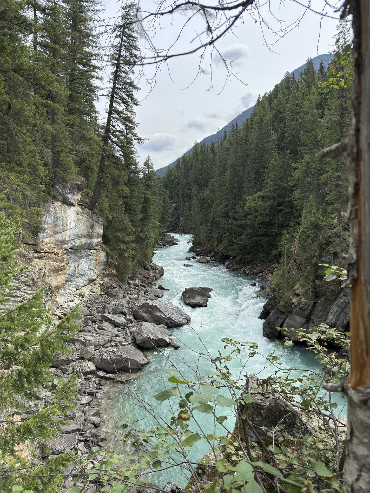 532021451_122225676932133510_2377458574939113951_n 532021451_122225676932133510_2377458574939113951_n