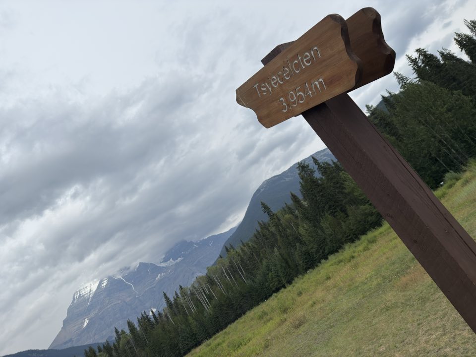 532034269_122225672966133510_6550584035891865806_n 532034269_122225672966133510_6550584035891865806_n