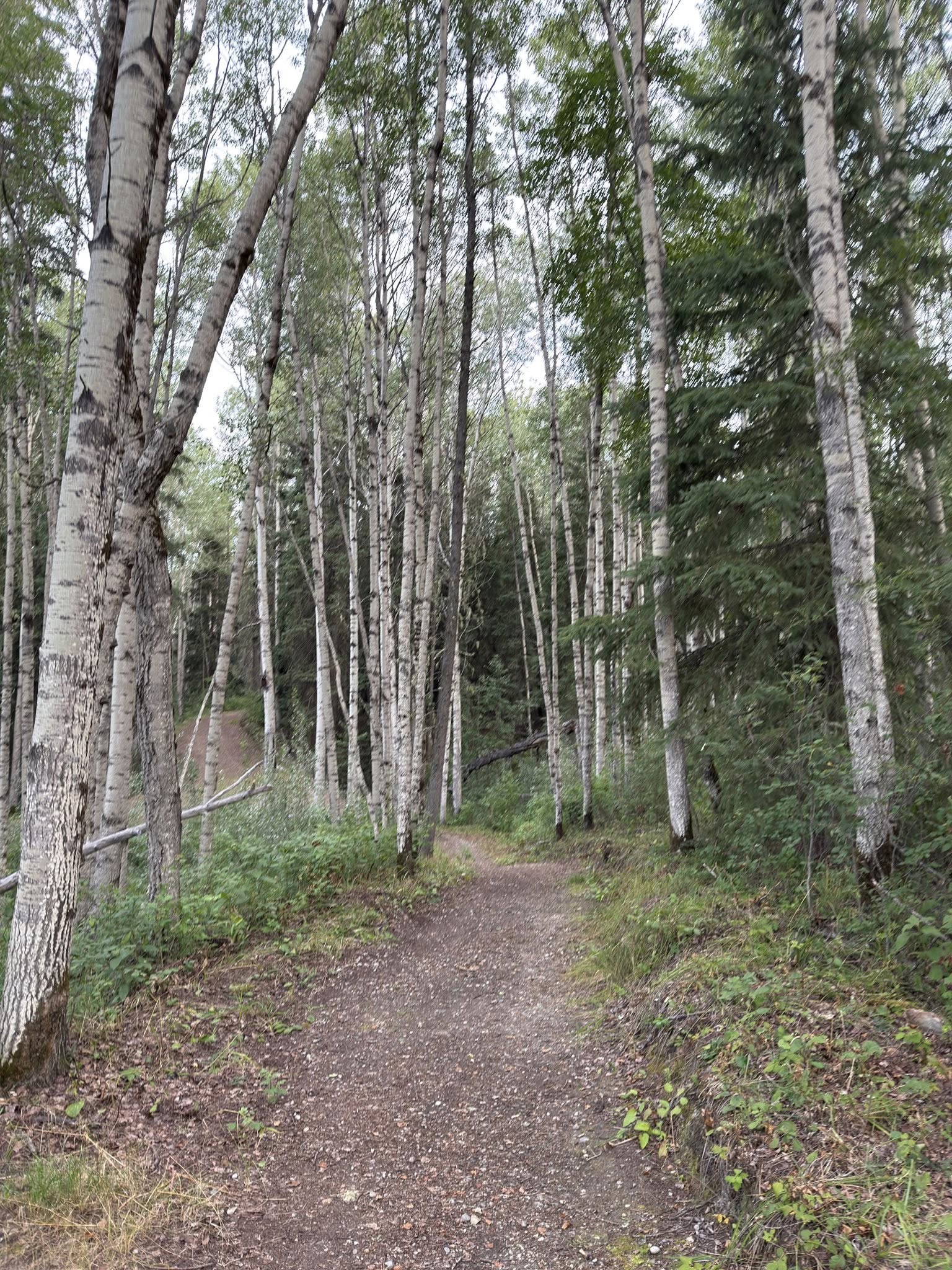 532219140_122225676734133510_2570006924583966718_n 532219140_122225676734133510_2570006924583966718_n