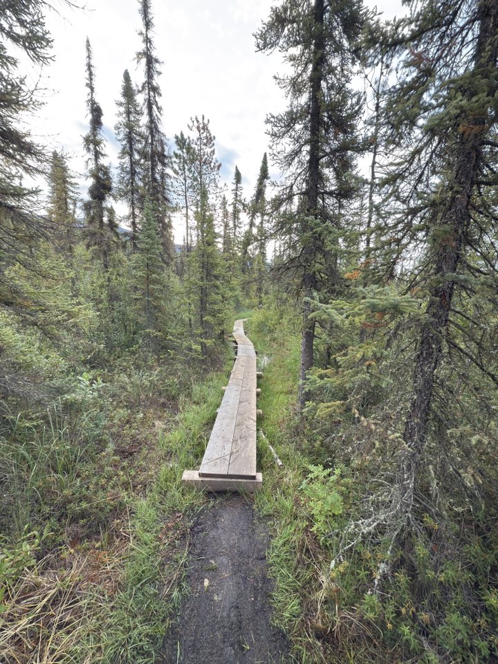 532312876_122225673092133510_7136146042970952624_n 532312876_122225673092133510_7136146042970952624_n