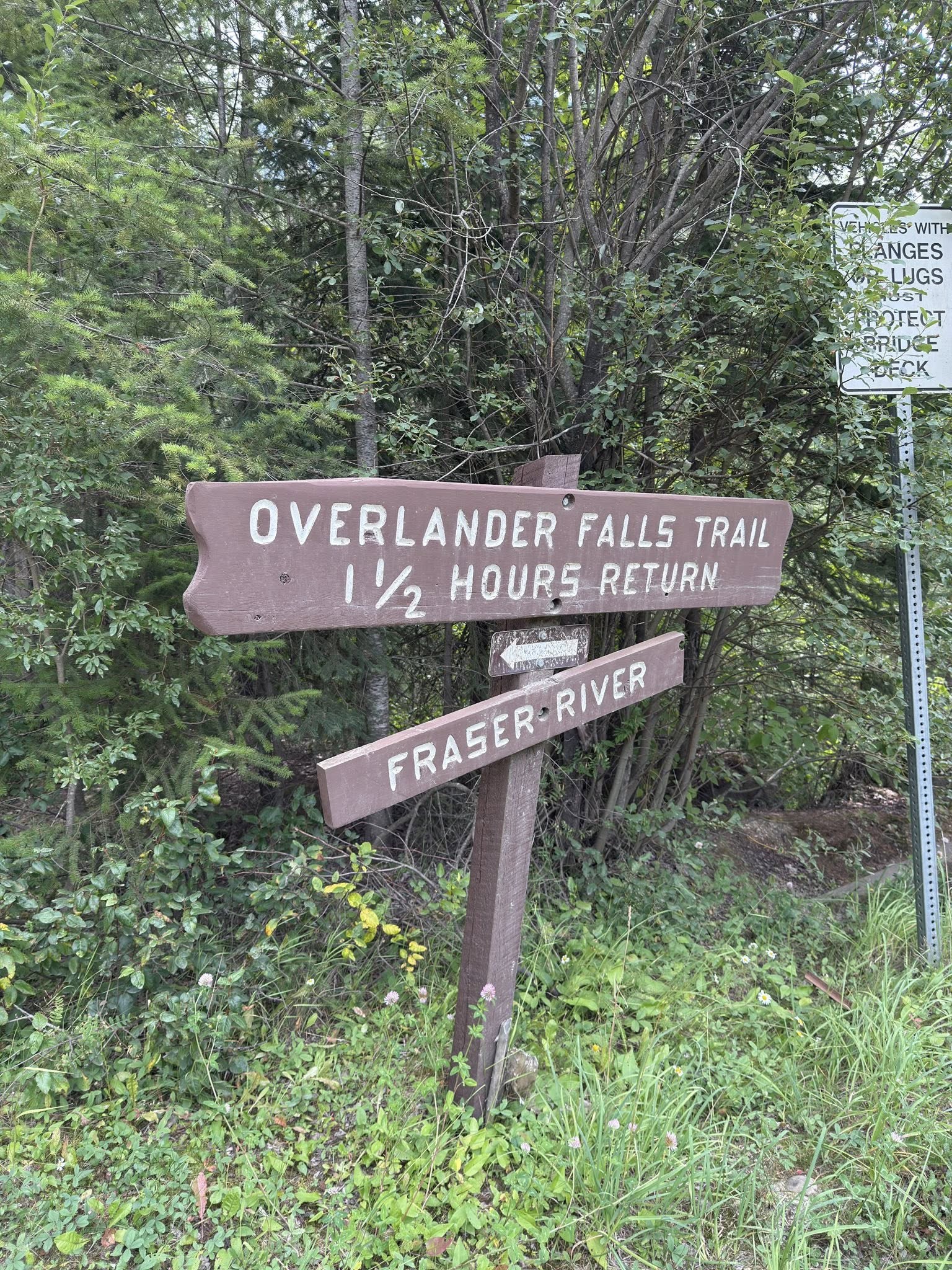 532464549_122225675438133510_4090022575691447919_n 532464549_122225675438133510_4090022575691447919_n