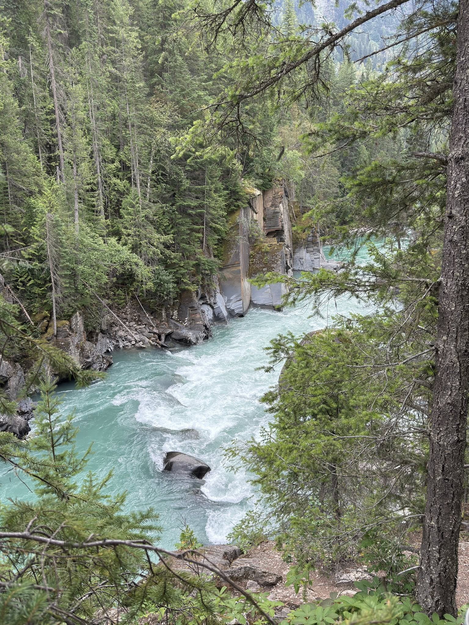 532546063_122225676704133510_5947114797182266274_n 532546063_122225676704133510_5947114797182266274_n