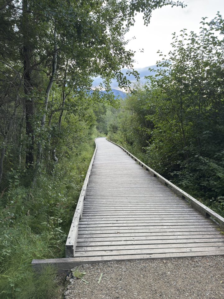 532578774_122225672666133510_8228933897255255807_n 532578774_122225672666133510_8228933897255255807_n