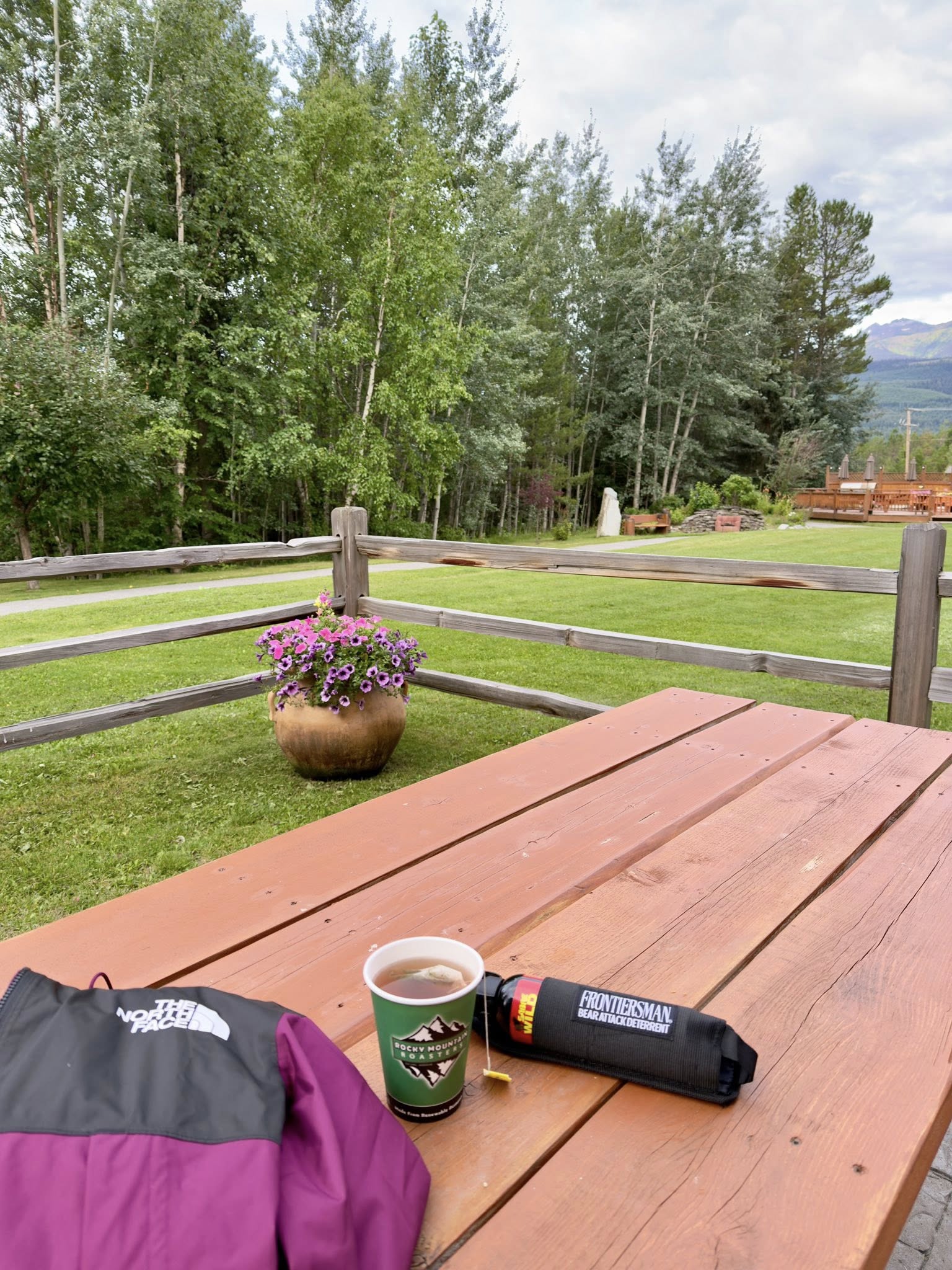 533025349_122225676920133510_723084729793276190_n 533025349_122225676920133510_723084729793276190_n