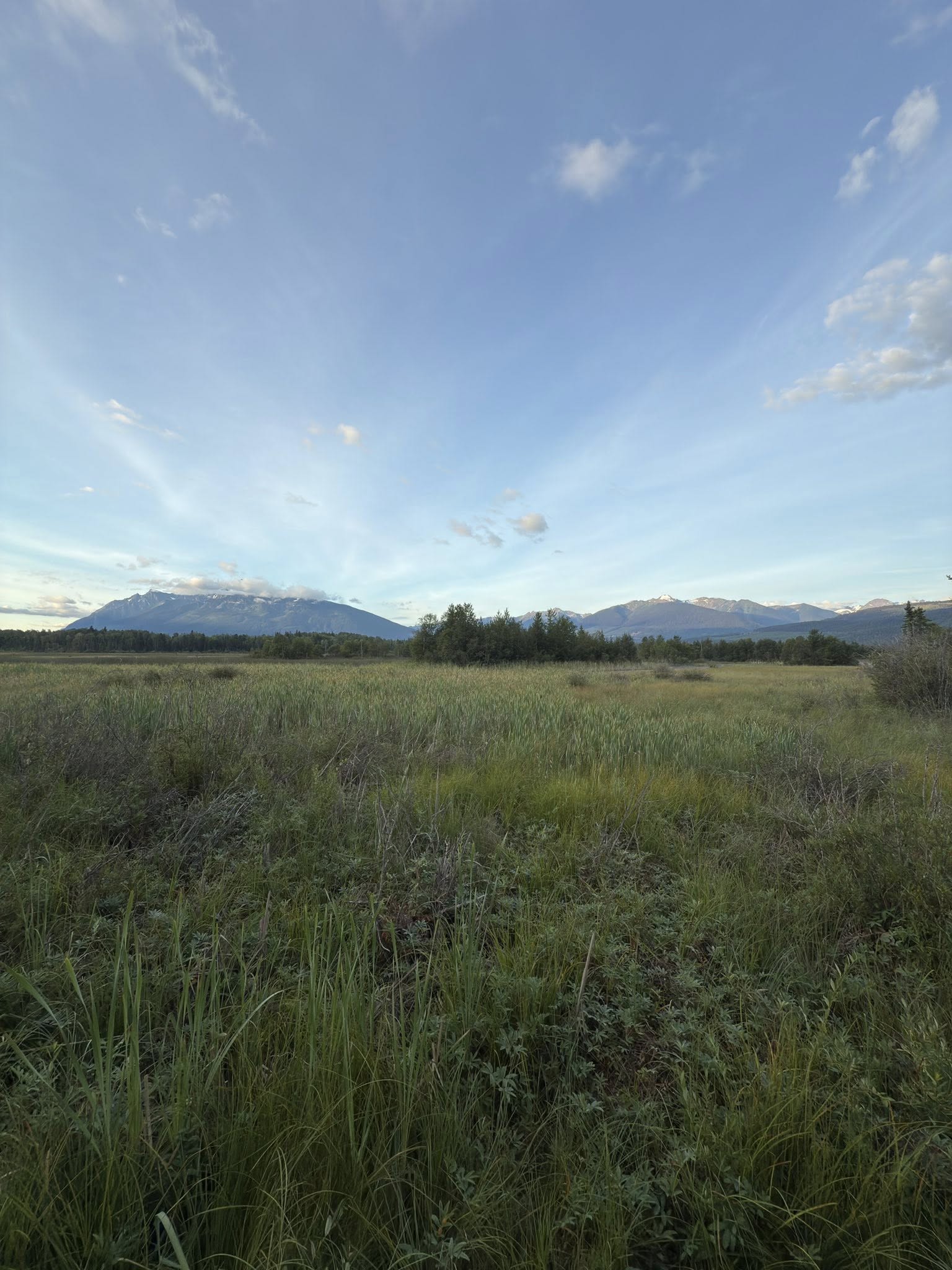 533076055_122225675660133510_6622299007432873477_n 533076055_122225675660133510_6622299007432873477_n