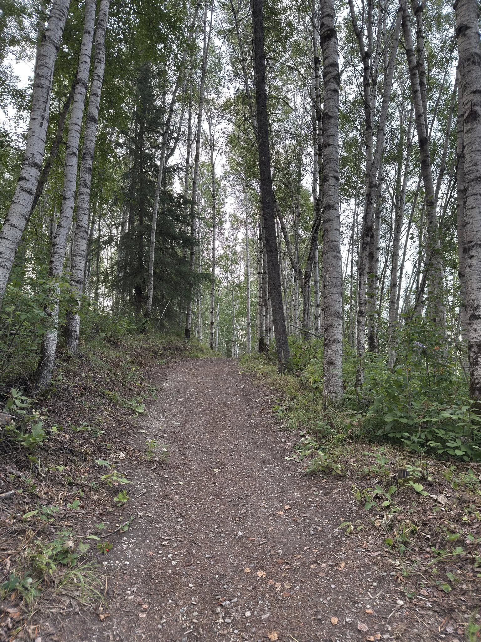 533091995_122225676866133510_7509403974975207683_n 533091995_122225676866133510_7509403974975207683_n