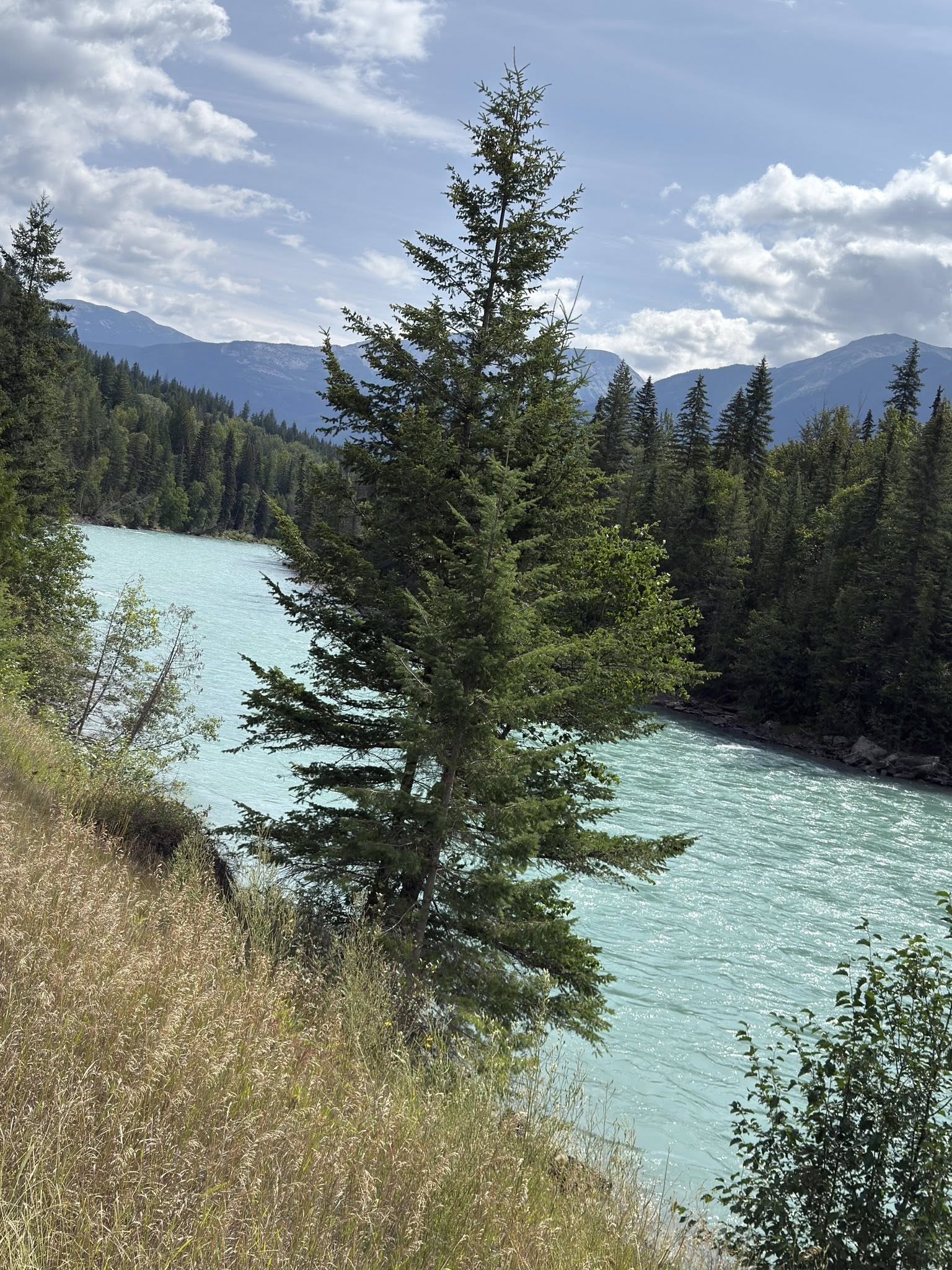 533116247_122225676536133510_2397451875208671421_n 533116247_122225676536133510_2397451875208671421_n