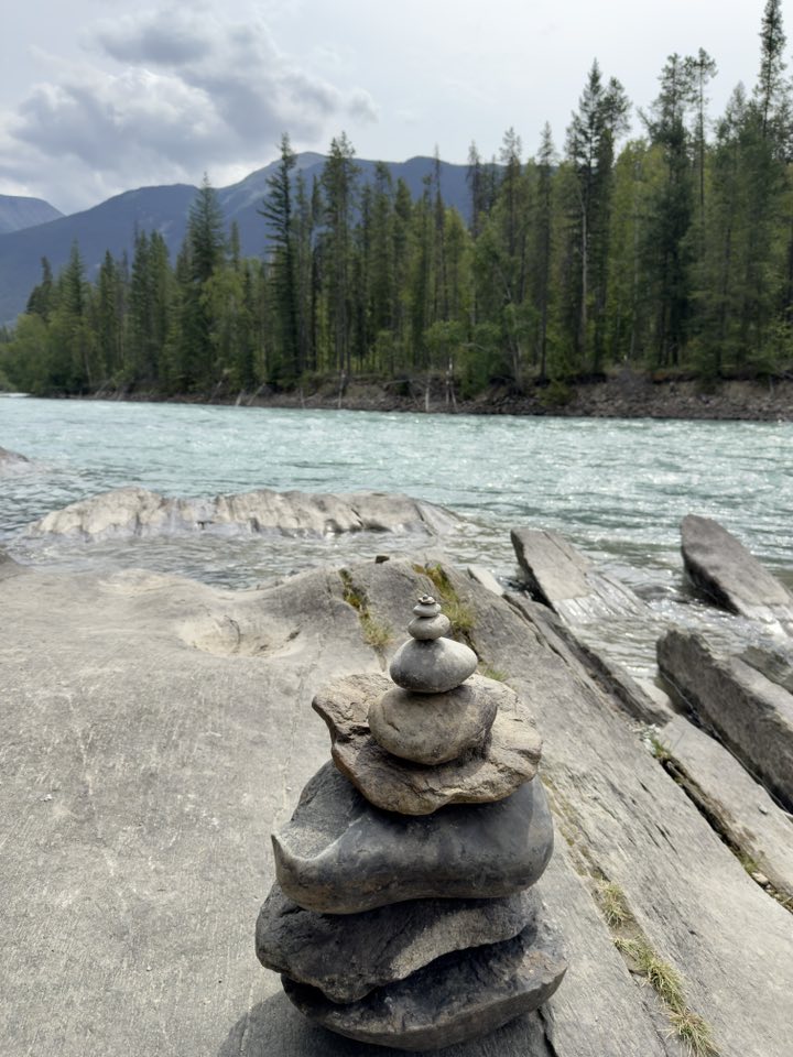 533184011_122225672570133510_8875654247429900925_n 533184011_122225672570133510_8875654247429900925_n