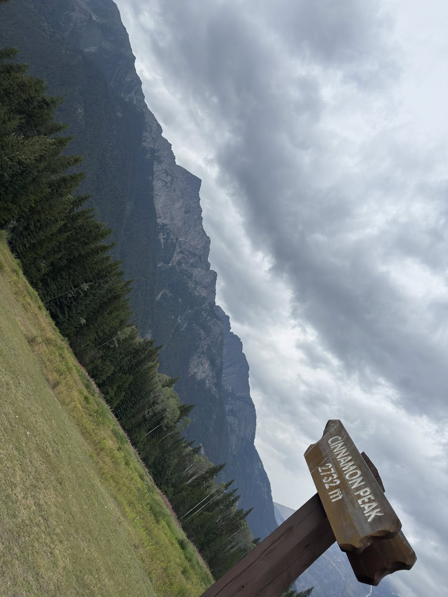 533226041_122225676770133510_3658283038327681165_n 533226041_122225676770133510_3658283038327681165_n