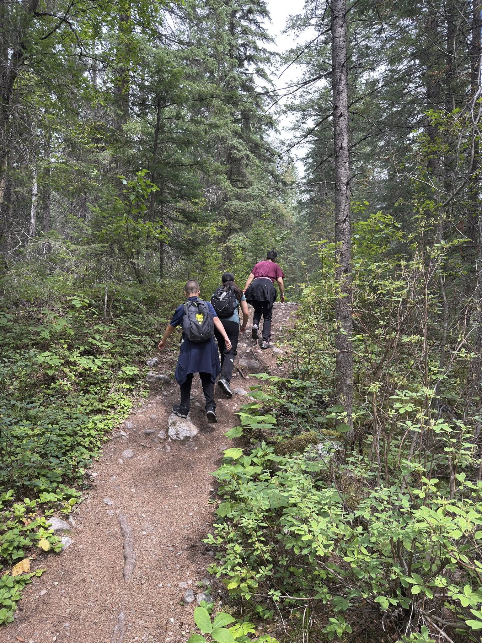 533256882_122225676560133510_5037086407884459669_n 533256882_122225676560133510_5037086407884459669_n