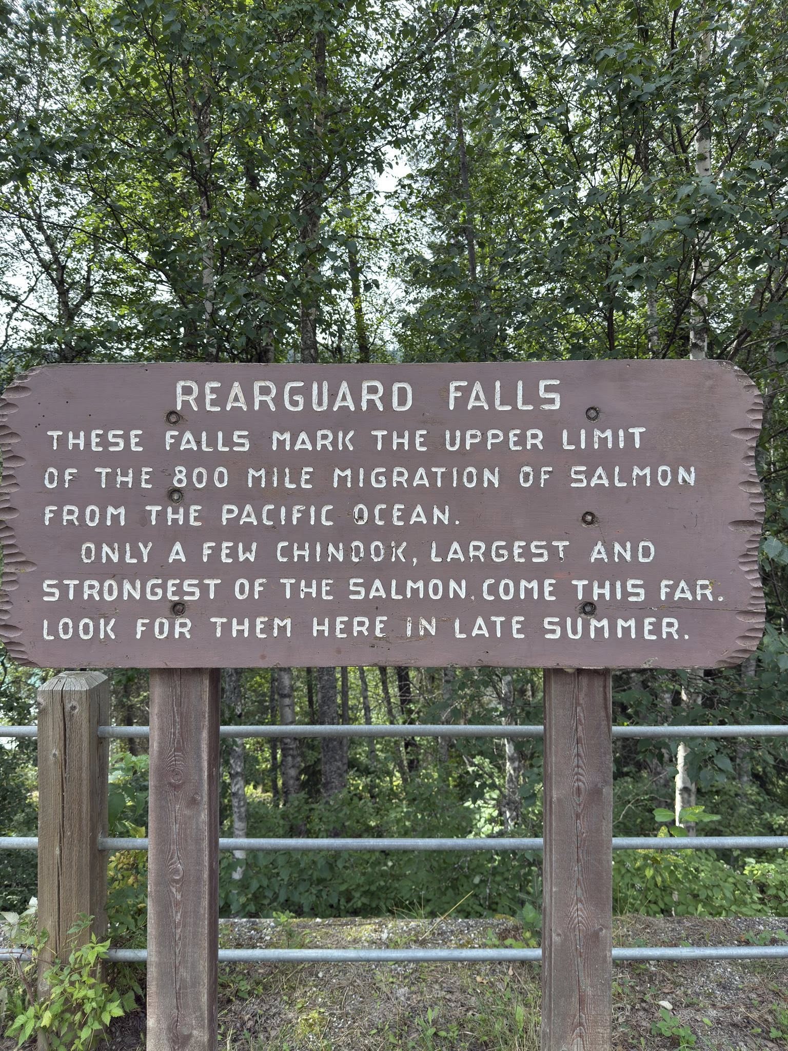 533378580_122225675336133510_8960605809956655035_n 533378580_122225675336133510_8960605809956655035_n