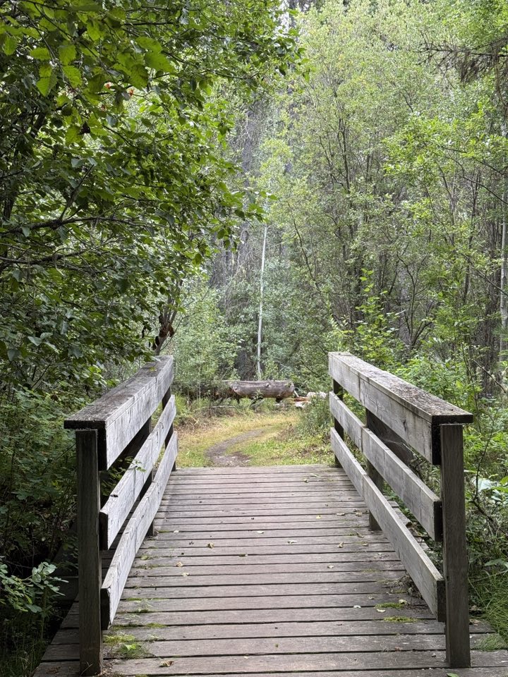 533491426_122225672720133510_5917923484771359528_n 533491426_122225672720133510_5917923484771359528_n