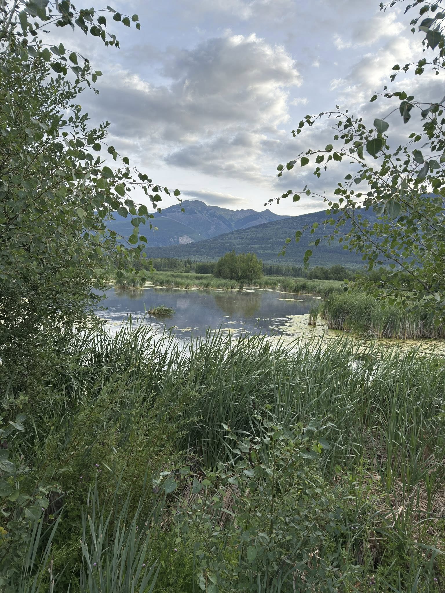 533527867_122225674898133510_4207780632616782129_n 533527867_122225674898133510_4207780632616782129_n