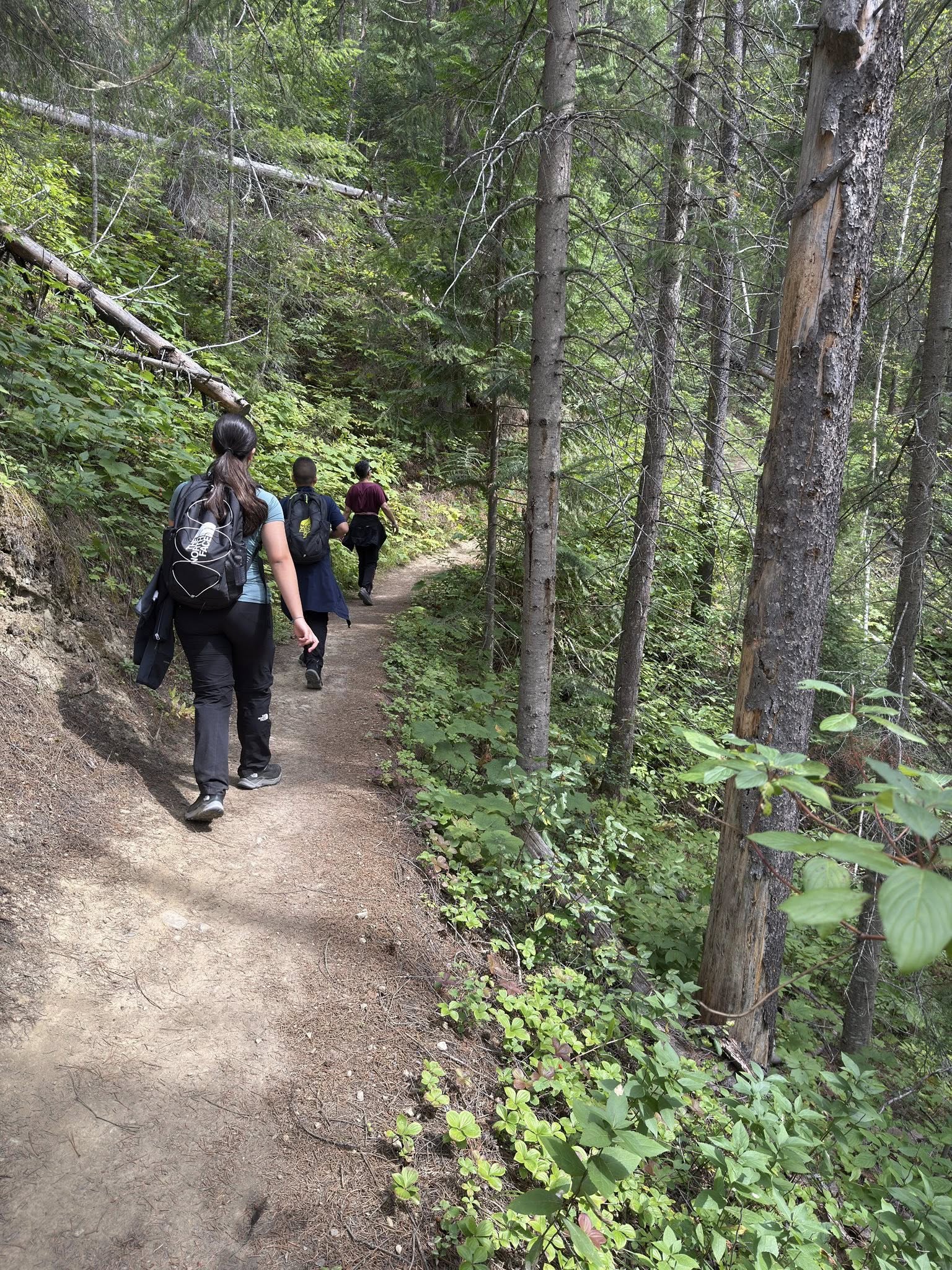 534269060_122225675156133510_8410990225182278313_n 534269060_122225675156133510_8410990225182278313_n