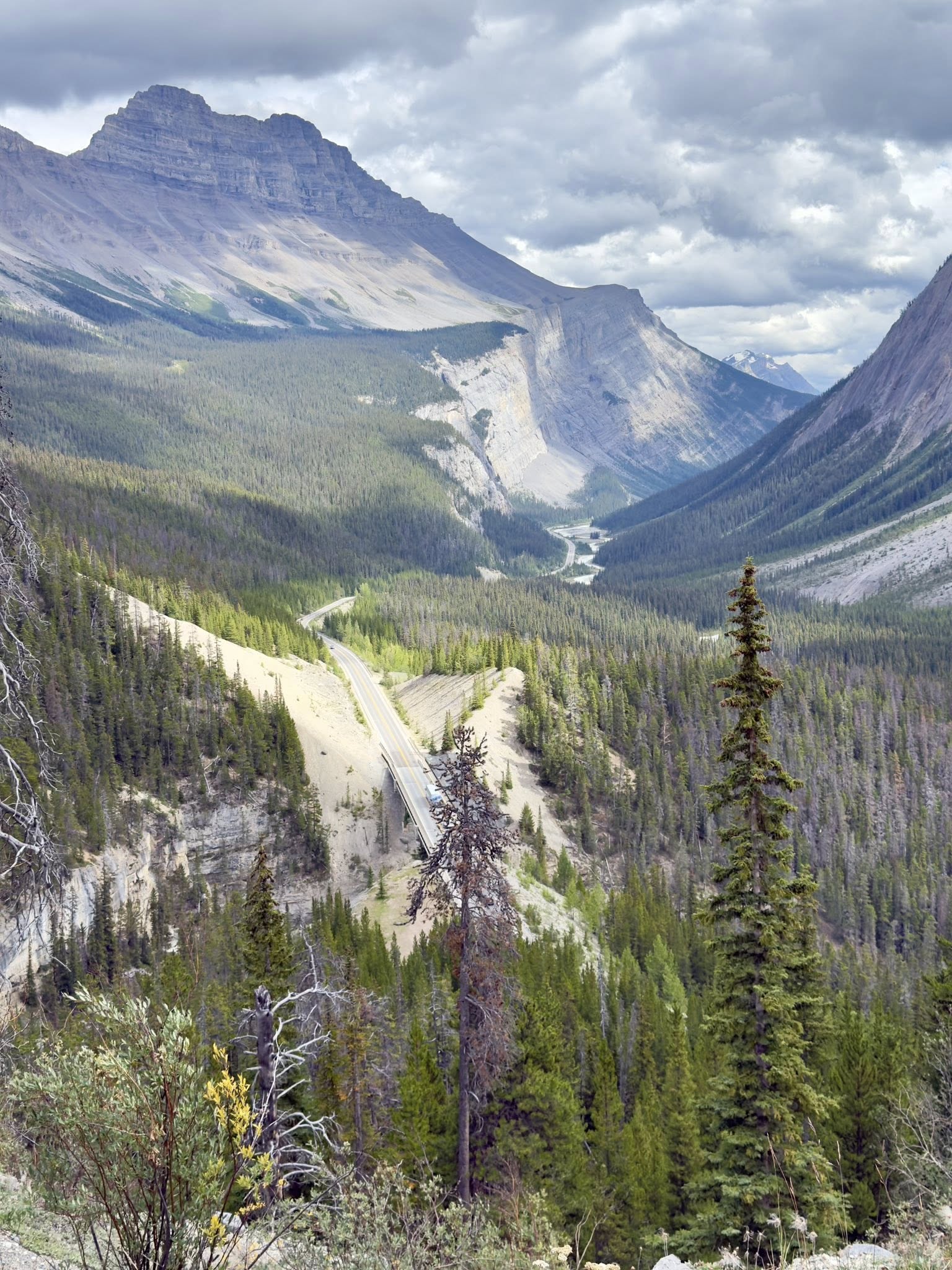 536237850_122226410036133510_7491067289196980148_n