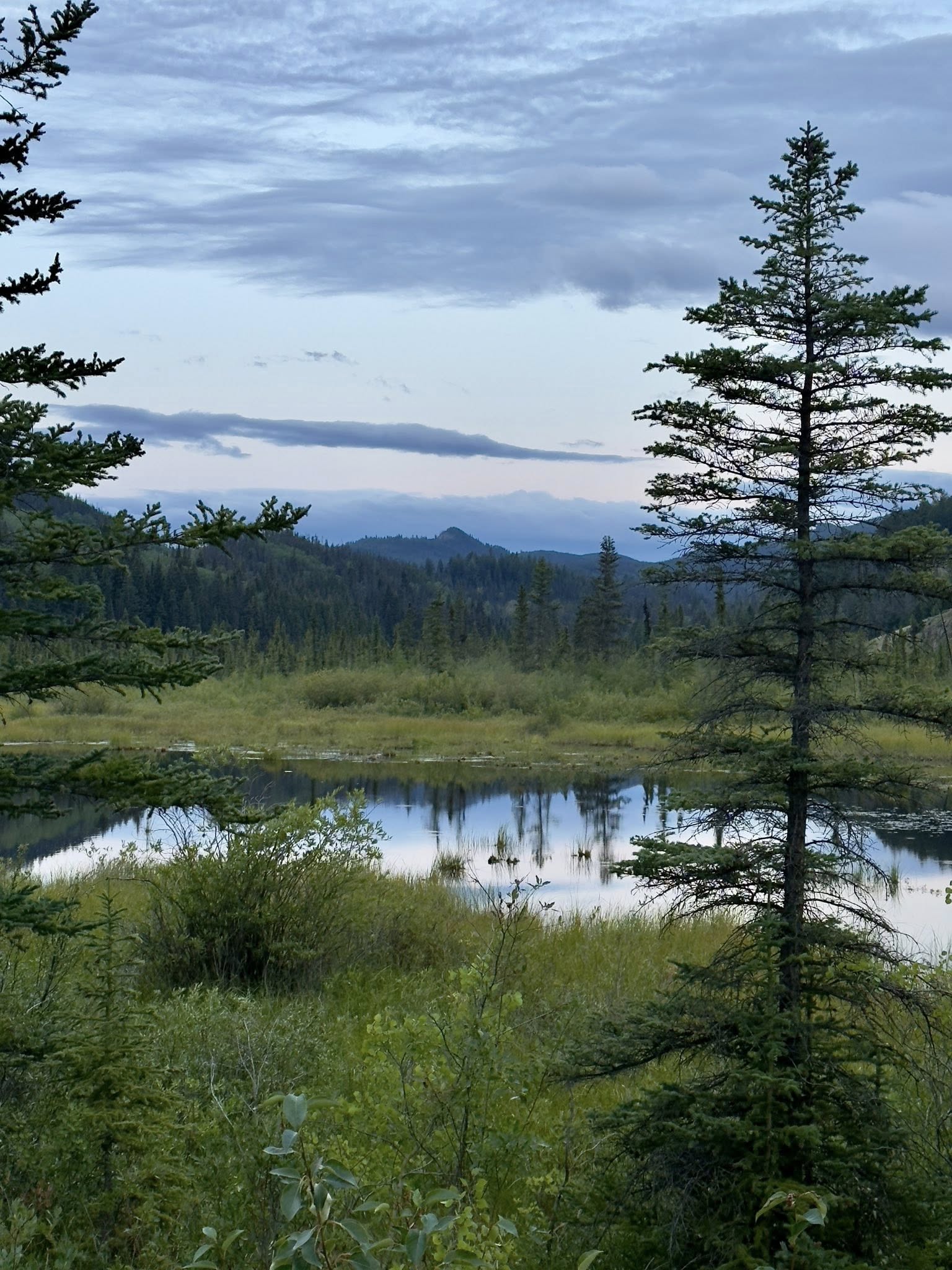 536243224_122226410558133510_7393304370039561955_n