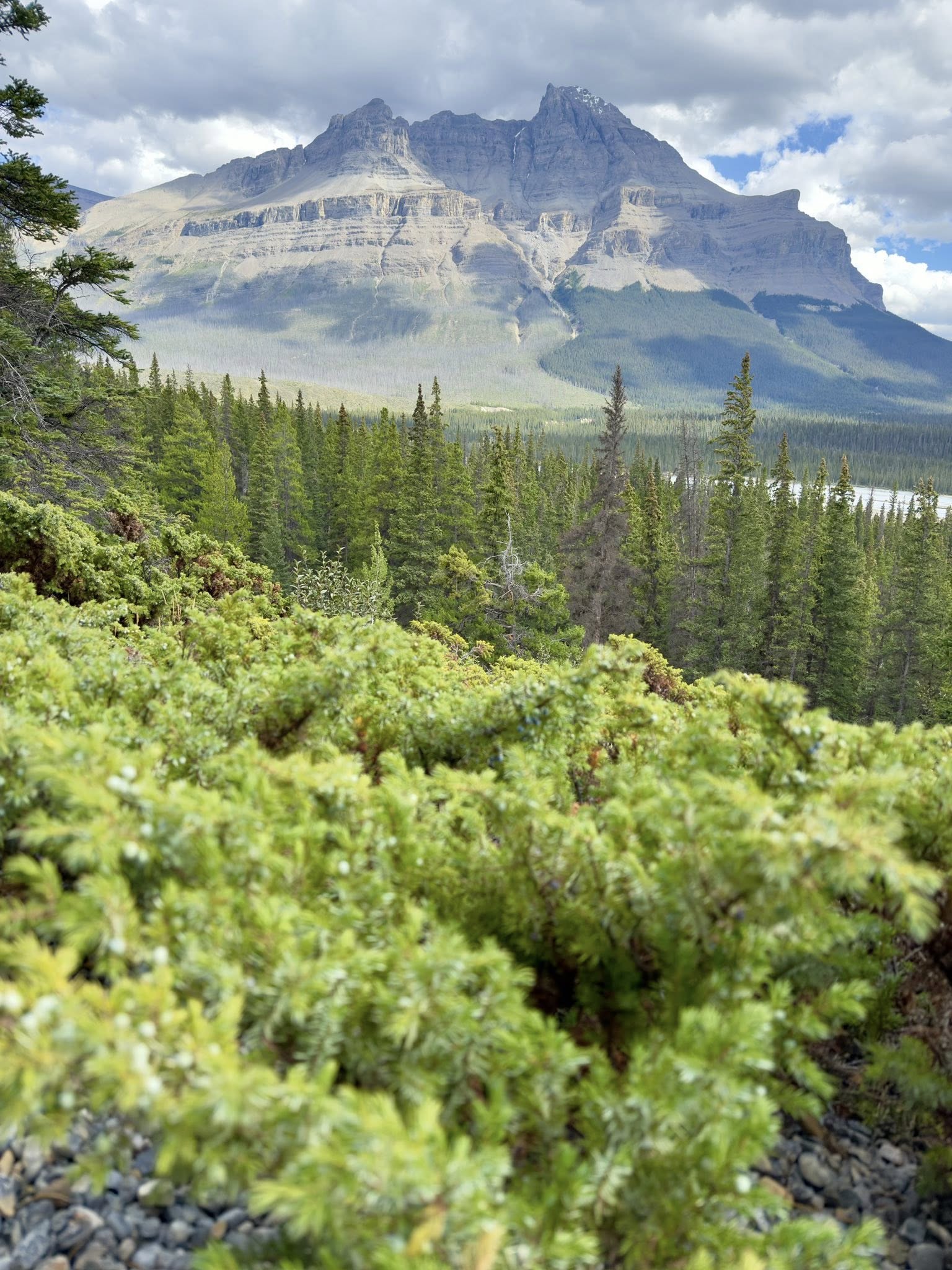 536245607_122226412094133510_6772452649738184516_n