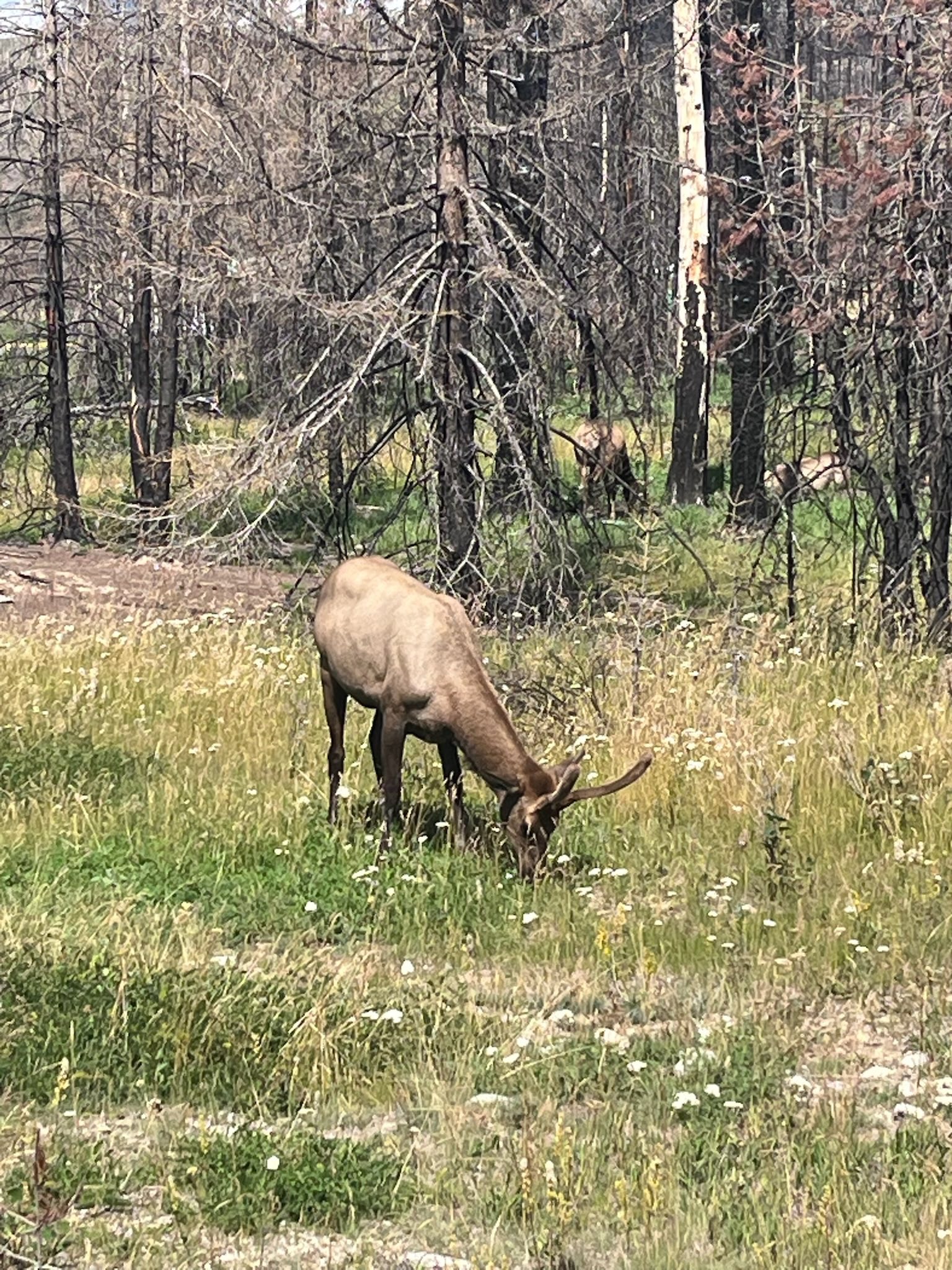 536246276_122226407786133510_5414433479214027672_n