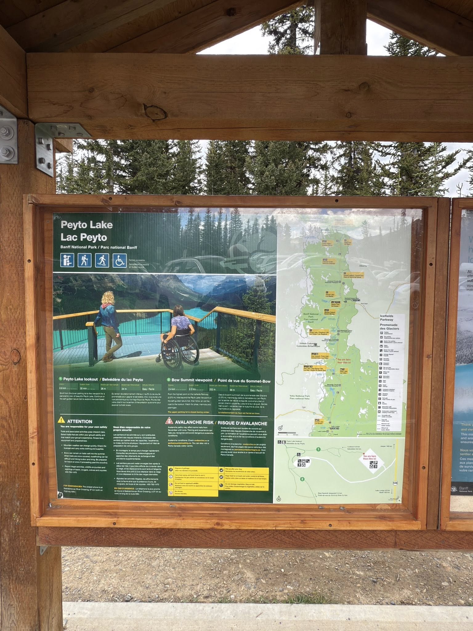 536269615_122226412004133510_7622089749405403918_n