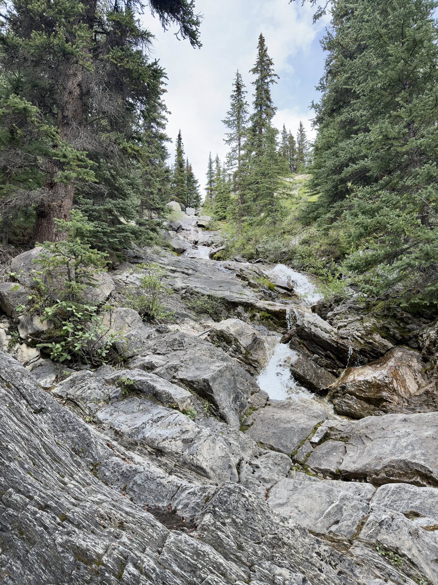 536282353_122226411374133510_3639386879068590588_n