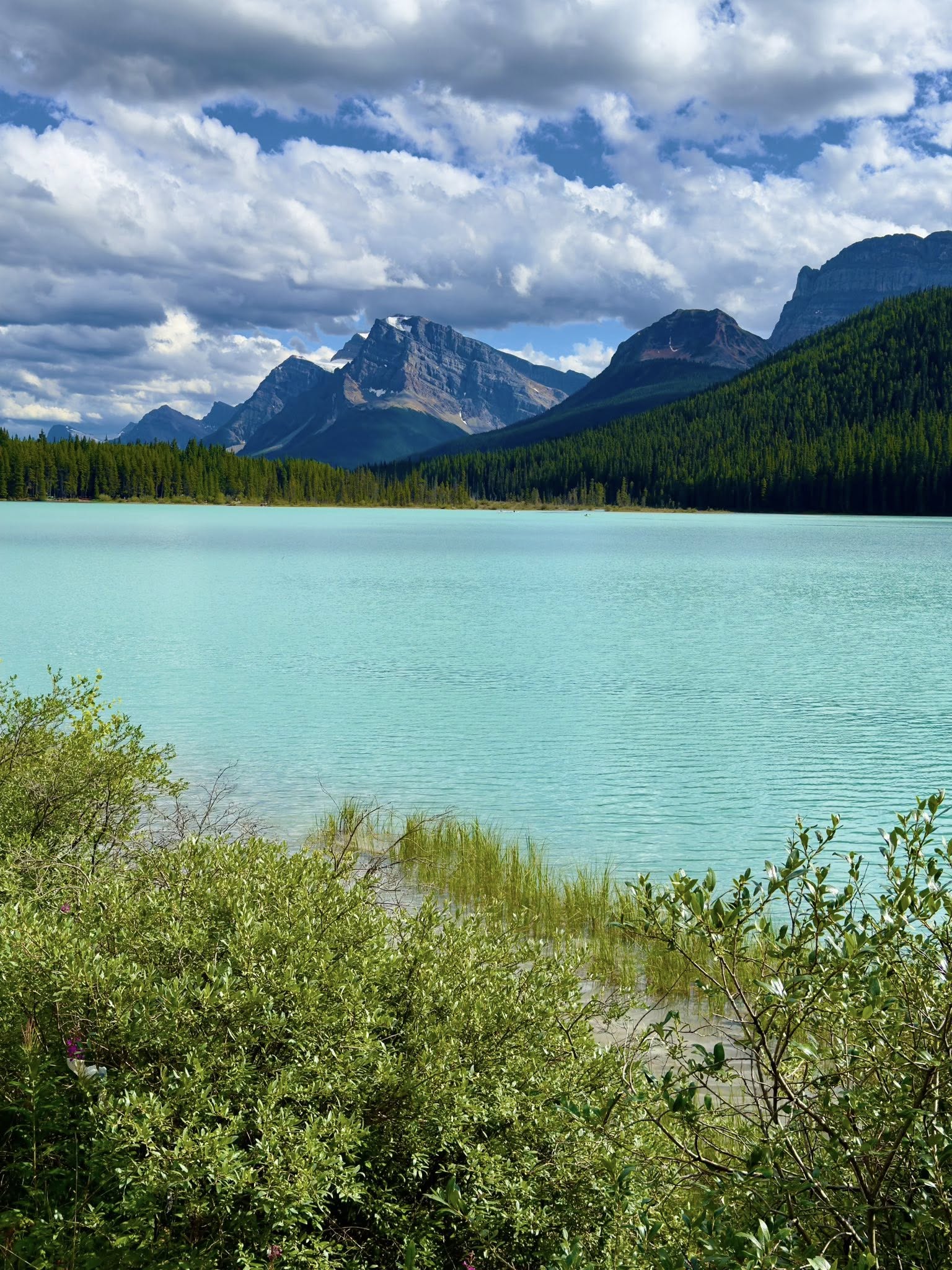 536285603_122226411146133510_8213400743739853056_n